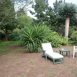 El Adelantado *